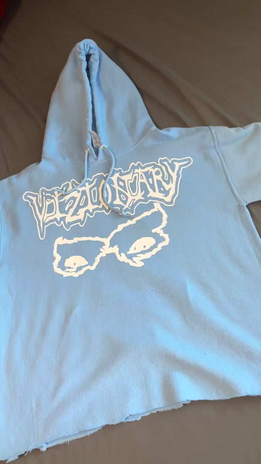 Vizionary Cropped Hoodie